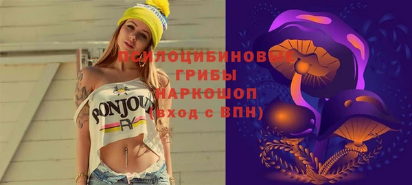 спайс Верея