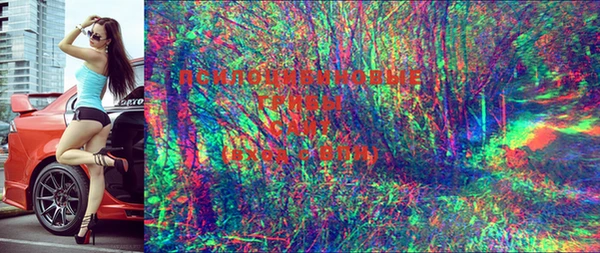герыч Верхний Тагил