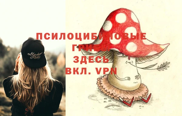 герыч Верхний Тагил