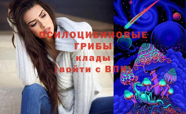 герыч Верхний Тагил