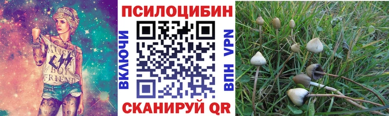 Псилоцибиновые грибы мицелий  Коломна 
